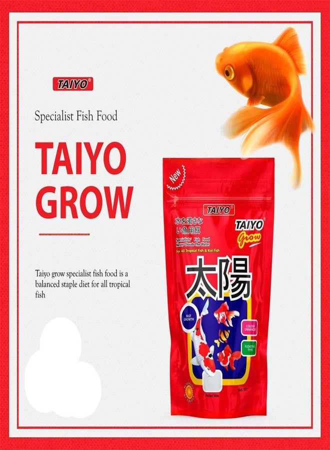 Taiyo Special All Life Stages Fish Pellet Food, 1kg - Image 5